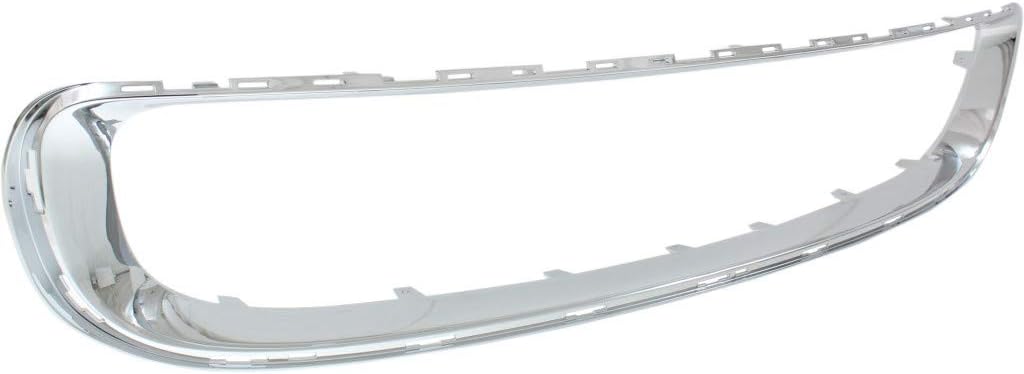 Mini Cooper Grille Trim N56164