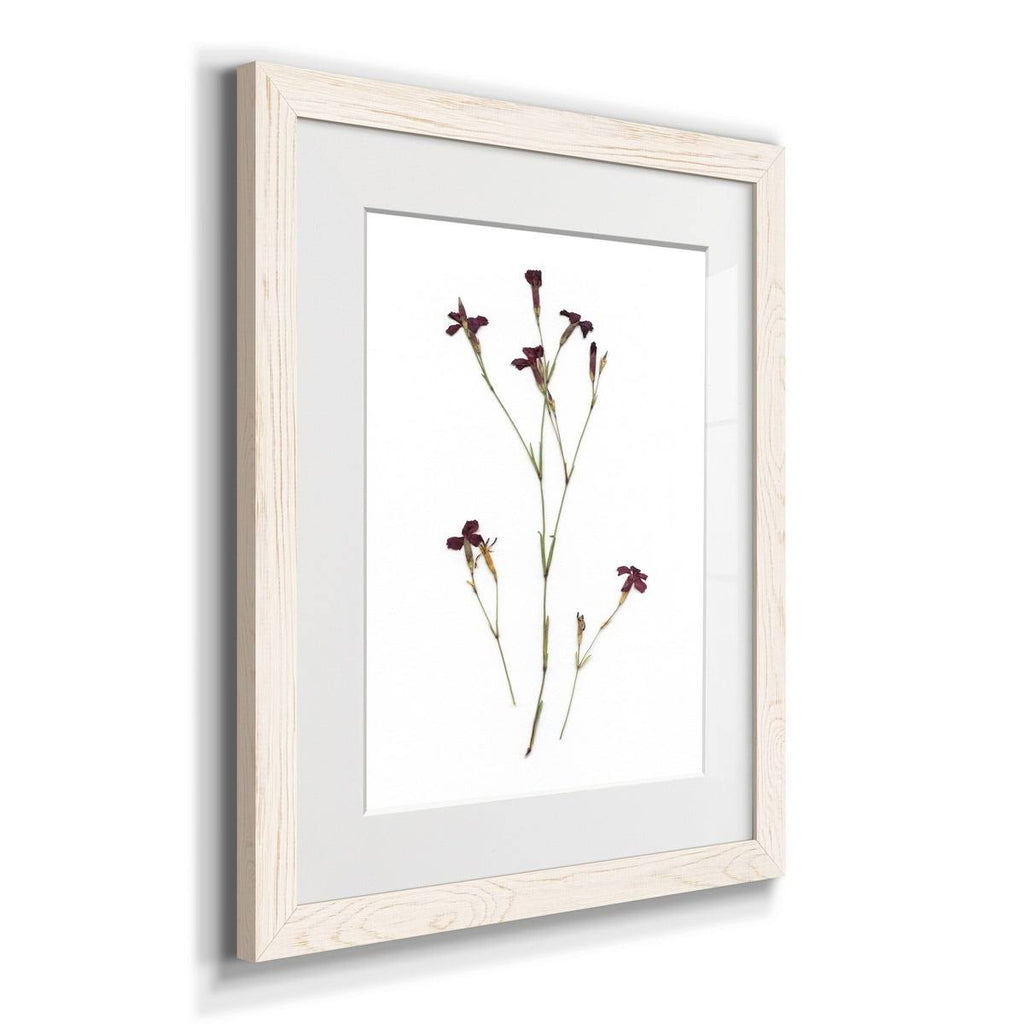 Framed Print - 27.5X37.5 - Walnut T653829