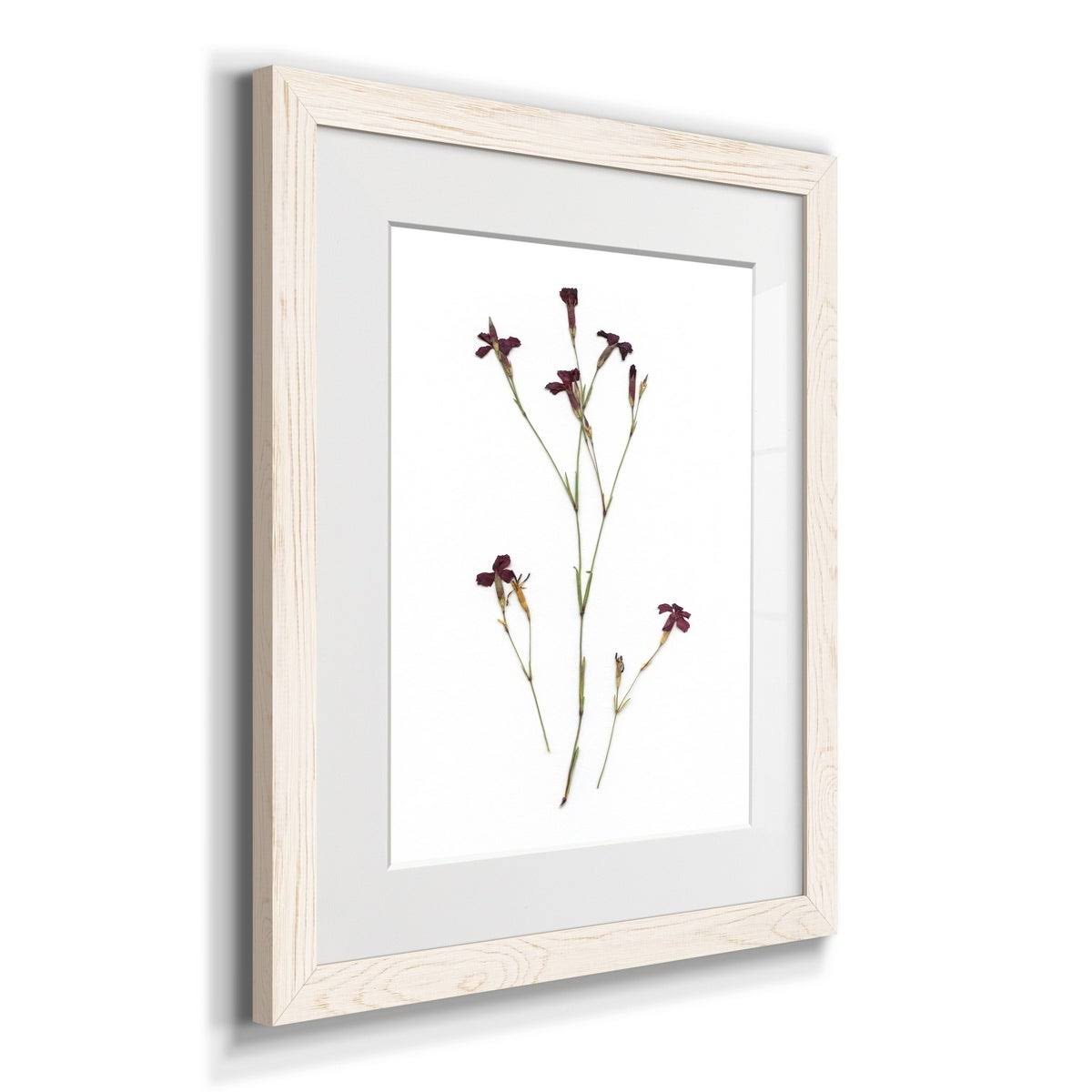 Framed Print - 27.5X37.5 - Walnut T653829
