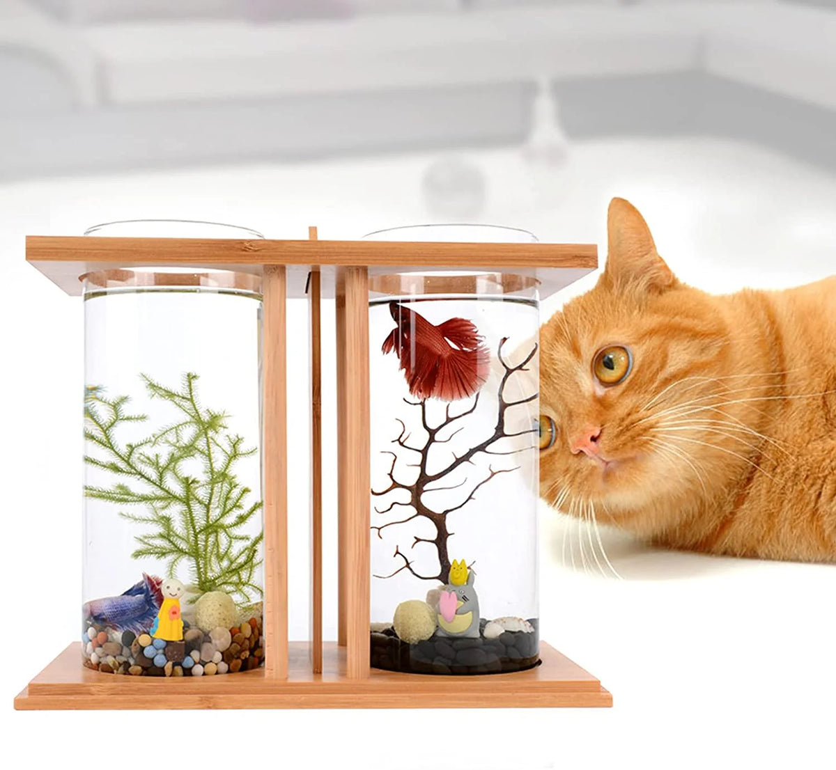 Bamboo Fish Bowl Glass Aquarium Mini Fish Tank C421