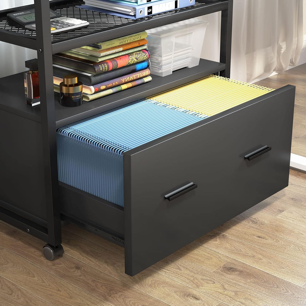 Lateral File Cabinet with Storage Shelves T195