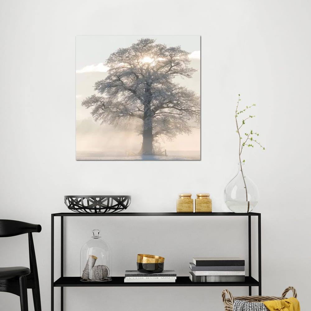 Canvas Art Picture - Winter King A935