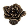 Antique Brass Novelty Knob G4975