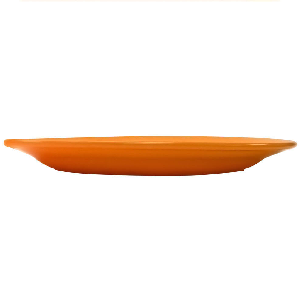 Orange Stoneware Wide Rim Platter B87623