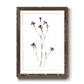 Framed Print - 27.5X37.5 - Walnut T653829