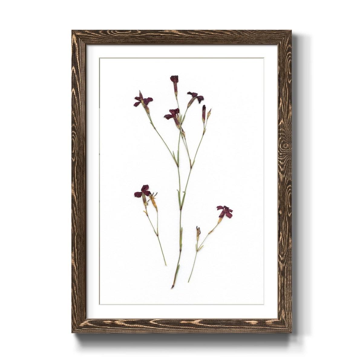 Framed Print - 27.5X37.5 - Walnut T653829