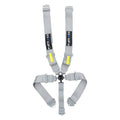 5-Point SFI Cam Lock Seat Belt Harness, Silver M64656