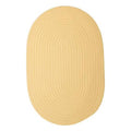 Pale Banana 2 ft. x 7 ft. Runner Rug A630