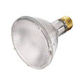 Satco Light Bulb A751