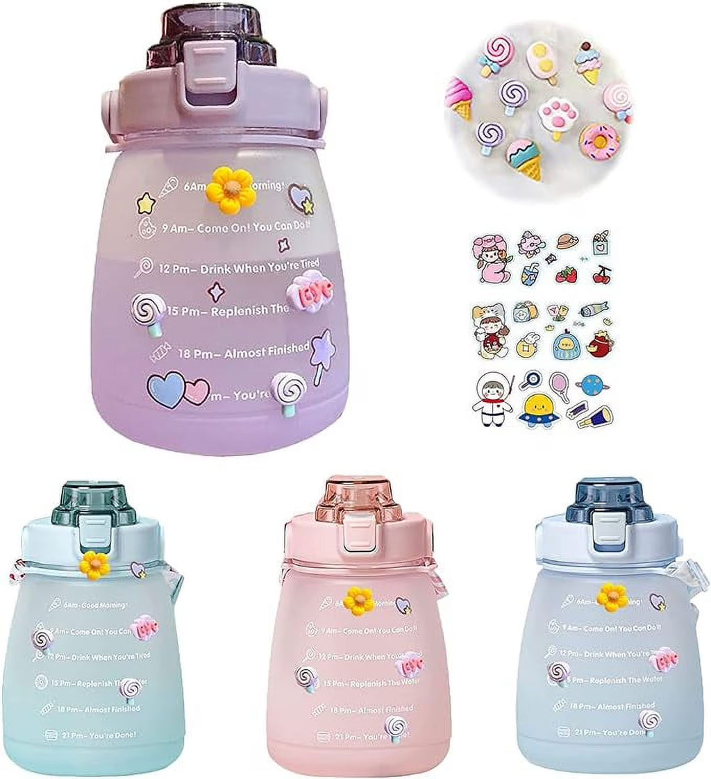 Purple Big Belly Water Bottle with Straw O808