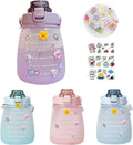 Purple Big Belly Water Bottle with Straw O808