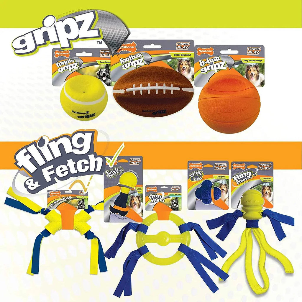 Dog Fetch Toys Fling-a-Bounce Medium - 10 in. P2137