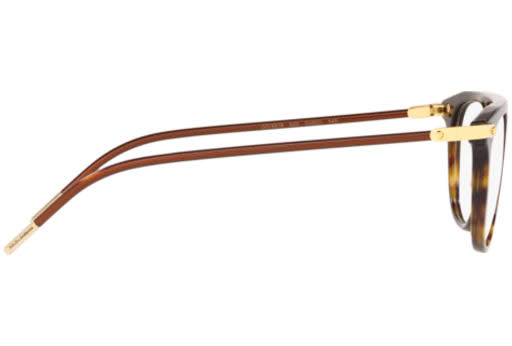 Havana Sunglasses A7052
