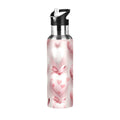 Insulated Thermos Stainless Steel Water Bottle with Straw Lid, 20 oz R17846