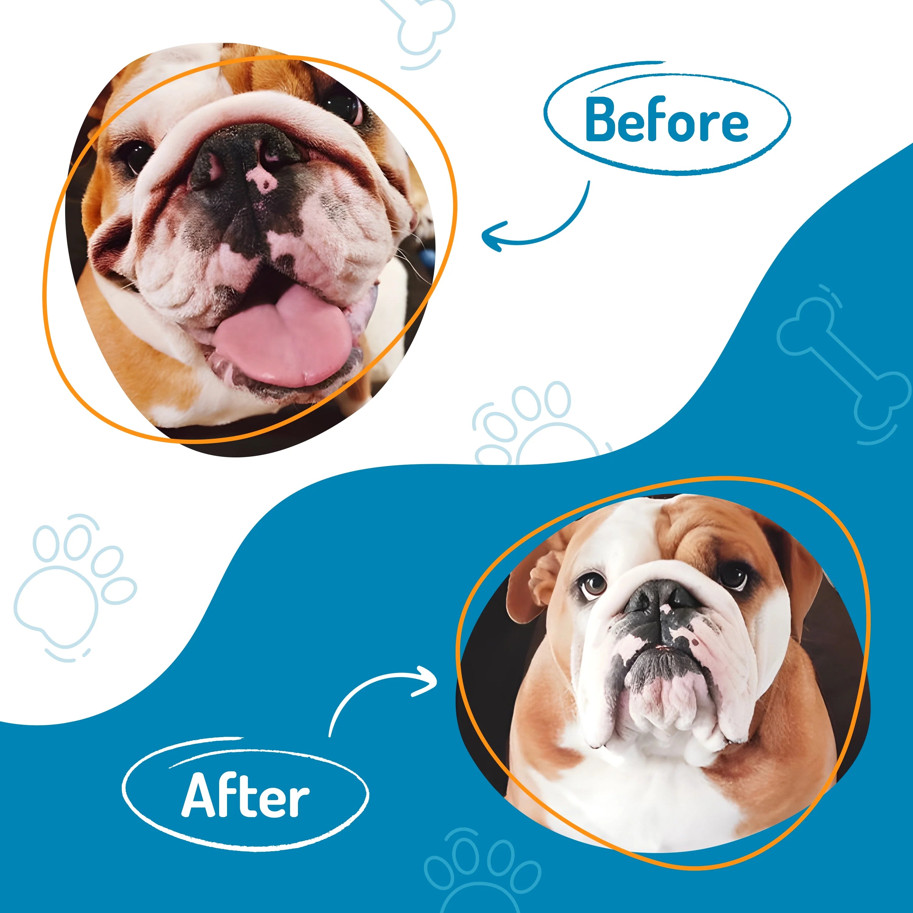 100 Count Dog Wrinkle Wipes for French Bulldog, English Bulldog, Pugs Q524276
