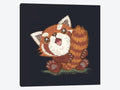 Red Panda Canvas Art Picture J181