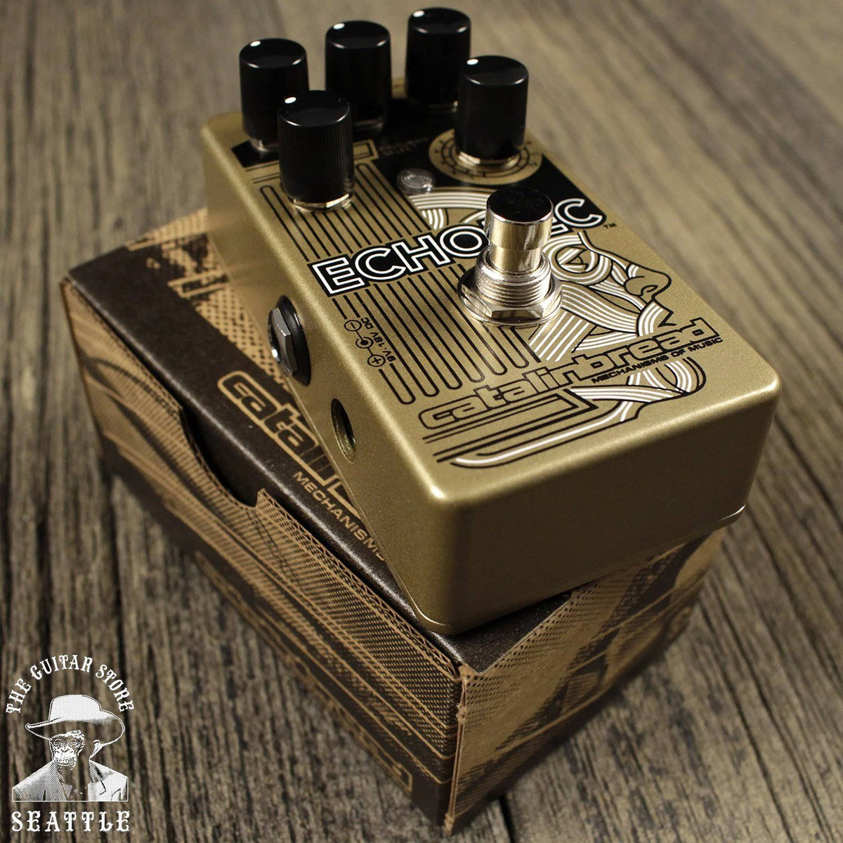 Multi Tap Echo Pedal F671663