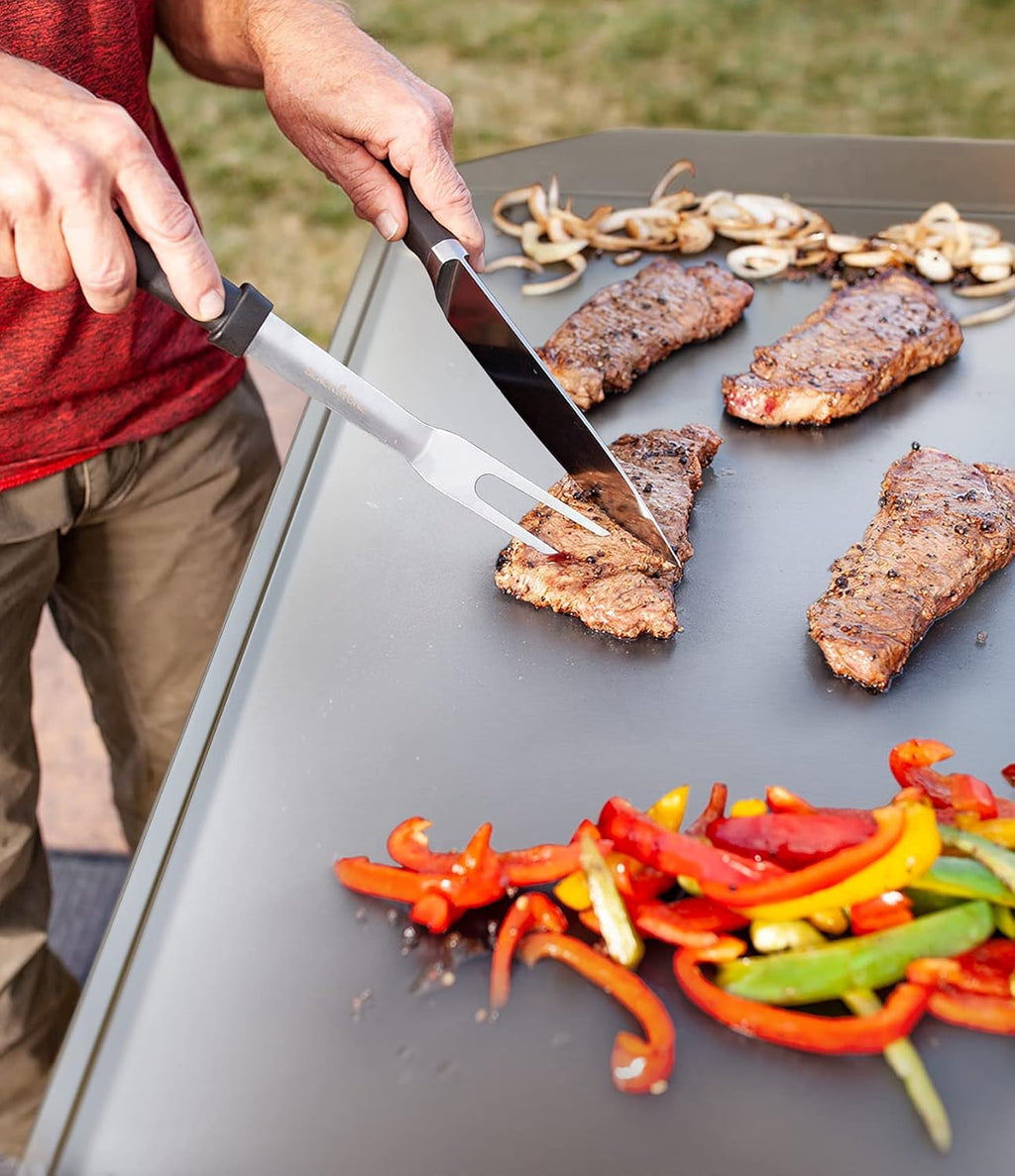 22 Inch Stainless Steel Table Top Gas Grill Griddle for 2 Burners Portable Propane Fueled Grill Q8010