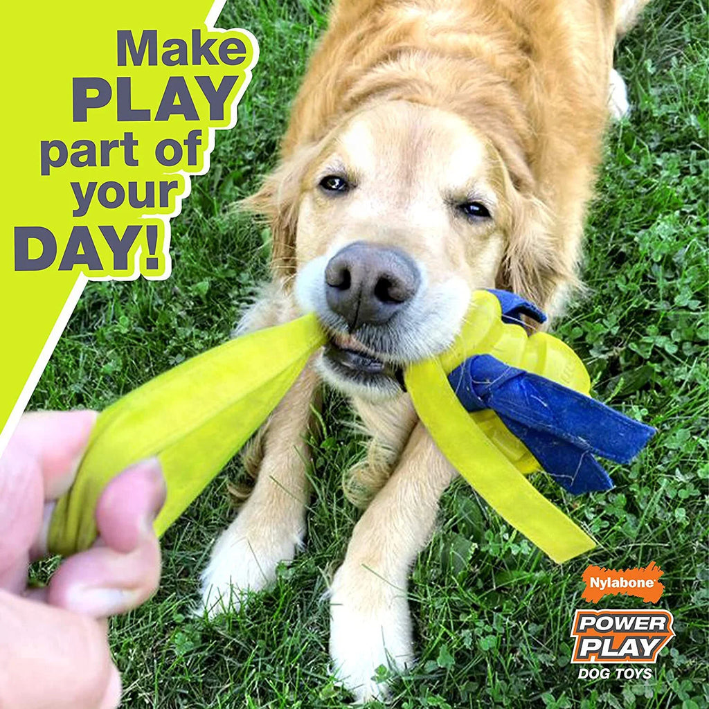 Dog Fetch Toys Fling-a-Bounce Medium - 10 in. P2137