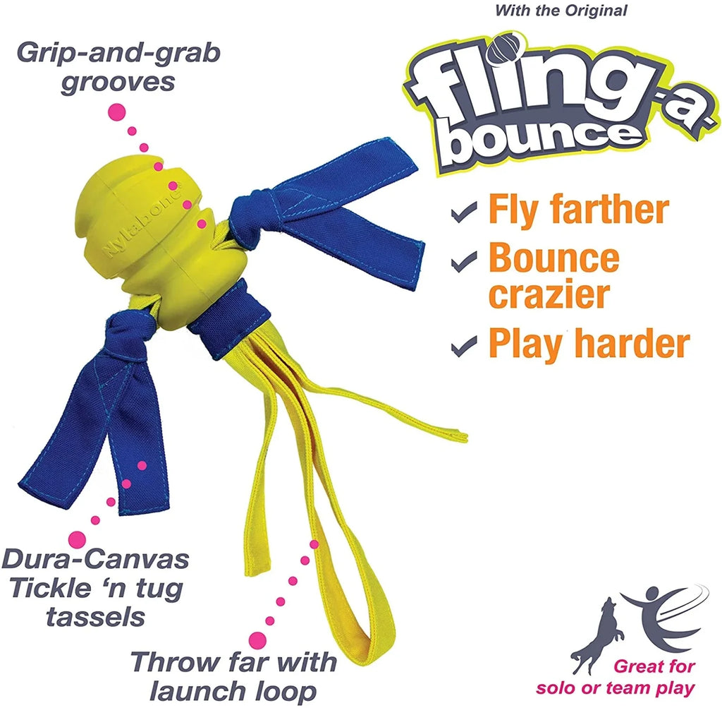 Dog Fetch Toys Fling-a-Bounce Medium - 10 in. P2137