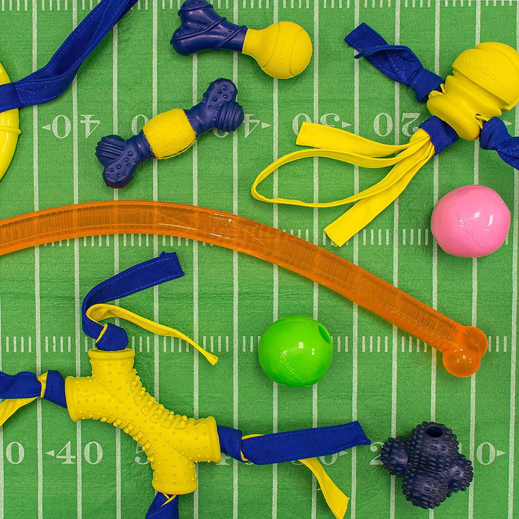 Dog Fetch Toys Fling-a-Bounce Medium - 10 in. P2137