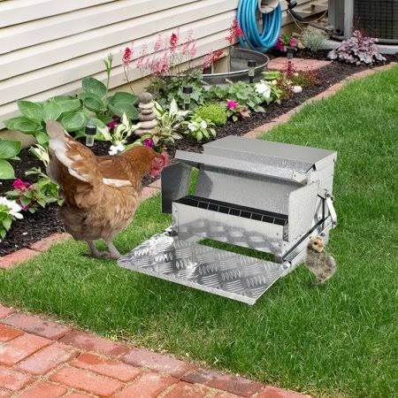 Galvanized Steel and Aluminium Automatic Chicken Poultry Feeder, 25 lb Capacity P365