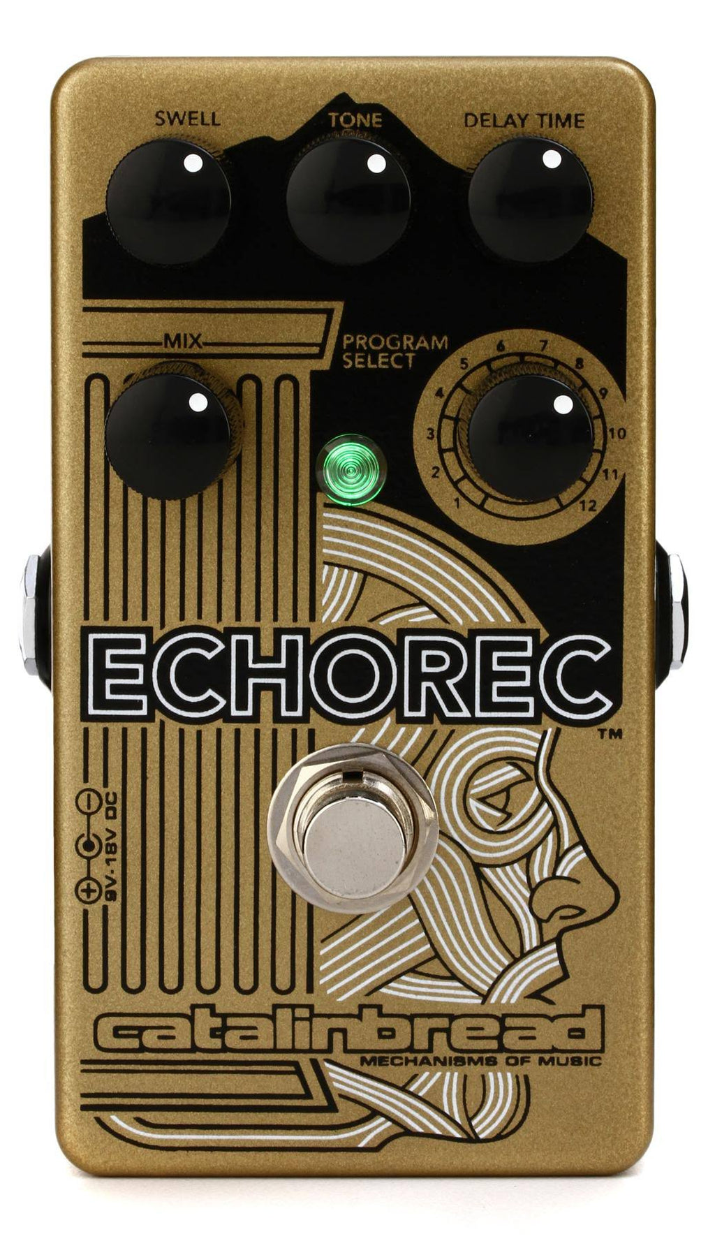 Multi Tap Echo Pedal F671663