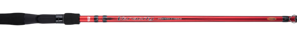 Spinning Rod B215589