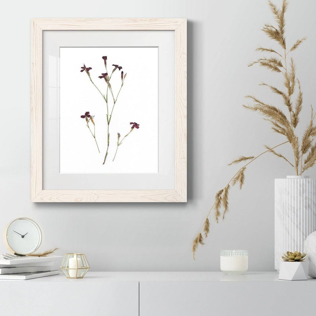 Framed Print - 27.5X37.5 - Walnut T653829