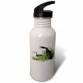 21 oz Sports Water Bottle C697