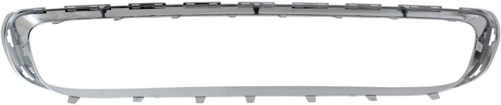 Mini Cooper Grille Trim N56164