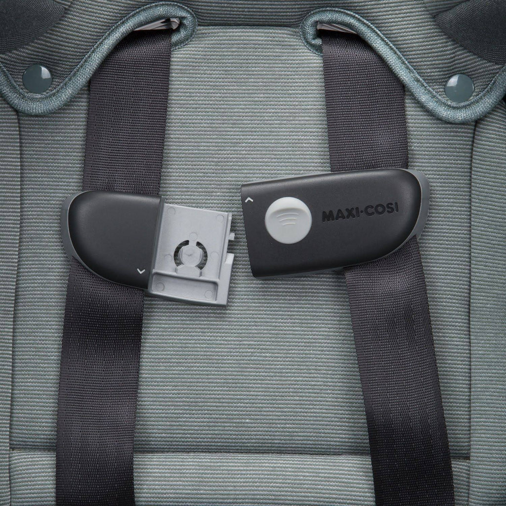 Convertible Car Seat D21097