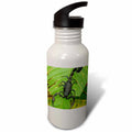 21 oz Sports Water Bottle D291