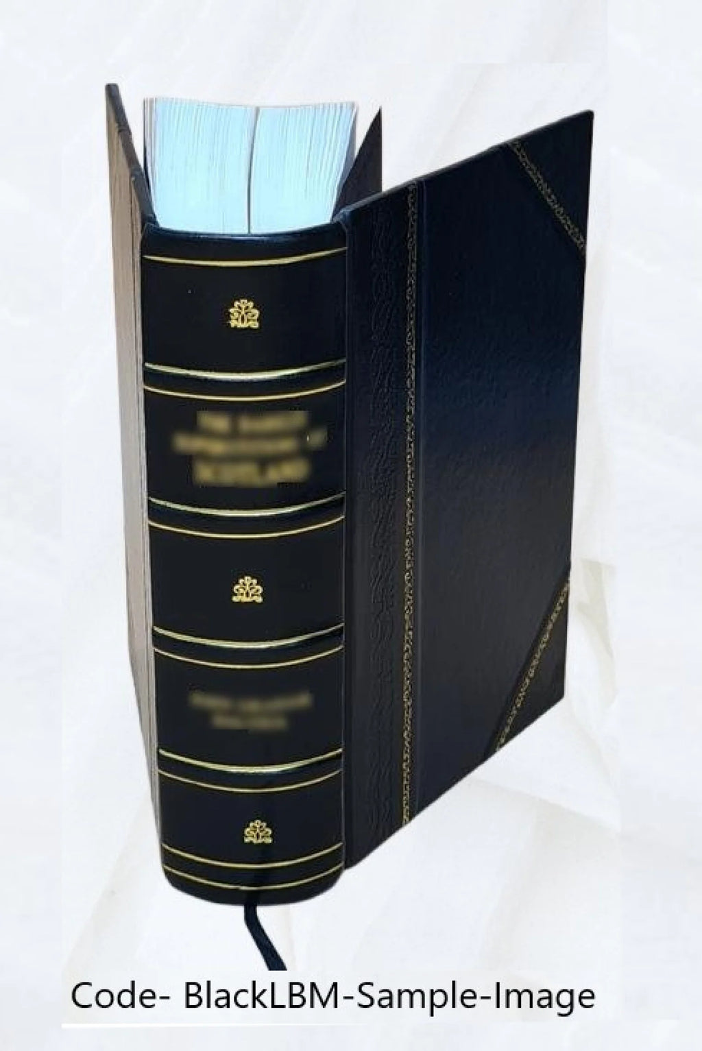 Leather Bound Book A86882