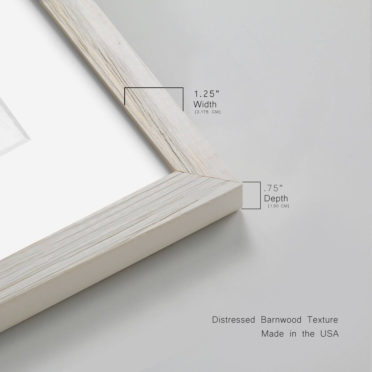 Framed Print 31X44 White T549