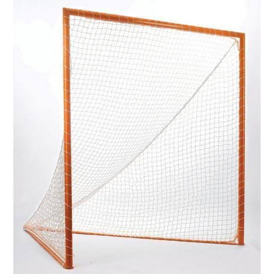 Lacrosse Goal P234355