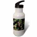 21 oz Sports Water Bottle R263937