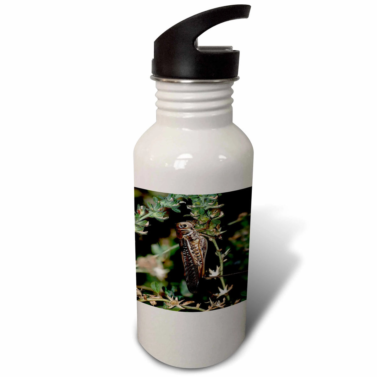 21 oz Sports Water Bottle R263937