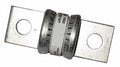 110 Amp Slow Blow Fuse X3972