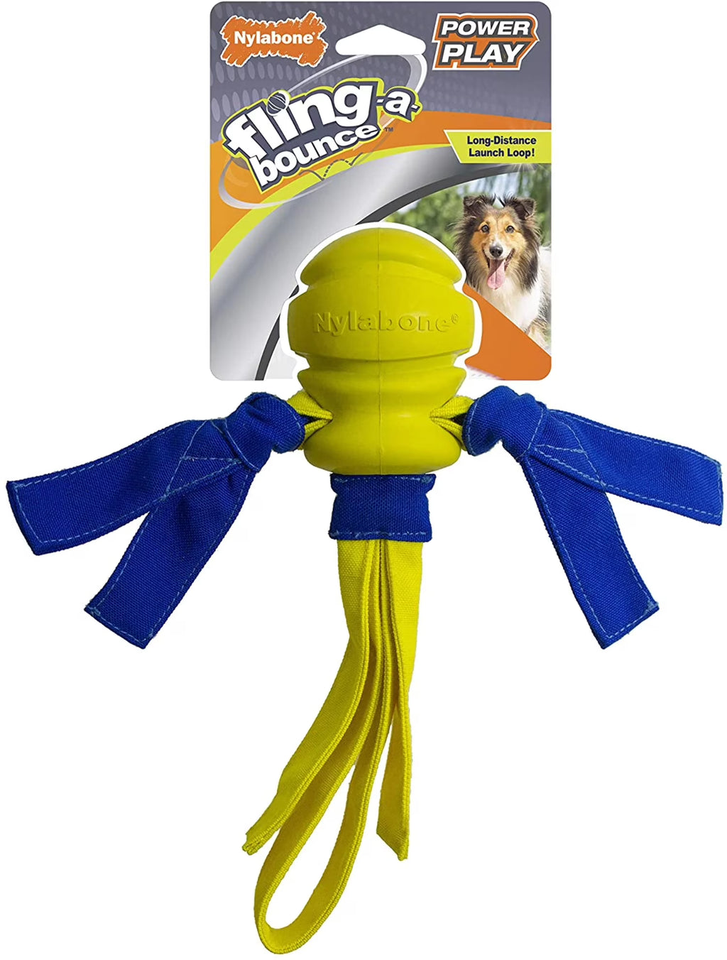 Dog Fetch Toys Fling-a-Bounce Medium - 10 in. P2137