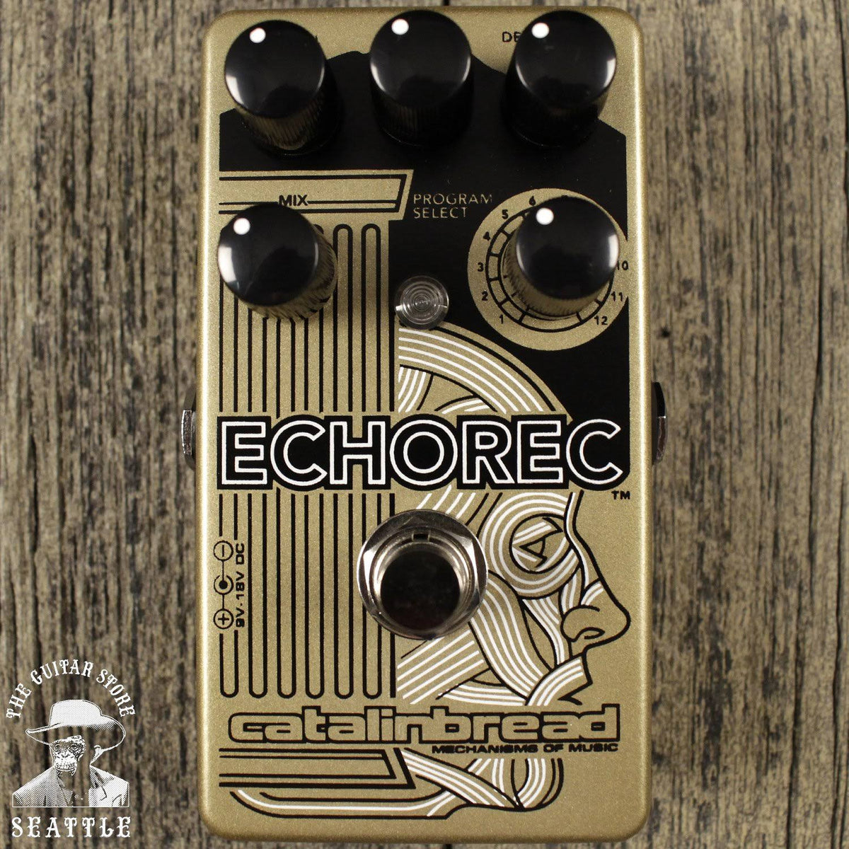 Multi Tap Echo Pedal F671663