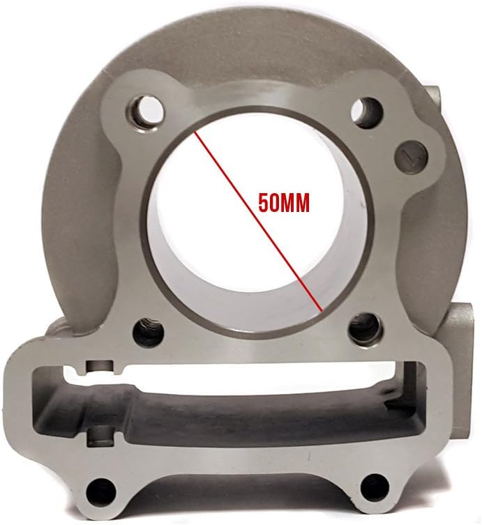 Complete Cylinder Kit 100cc Pack of 2 F997