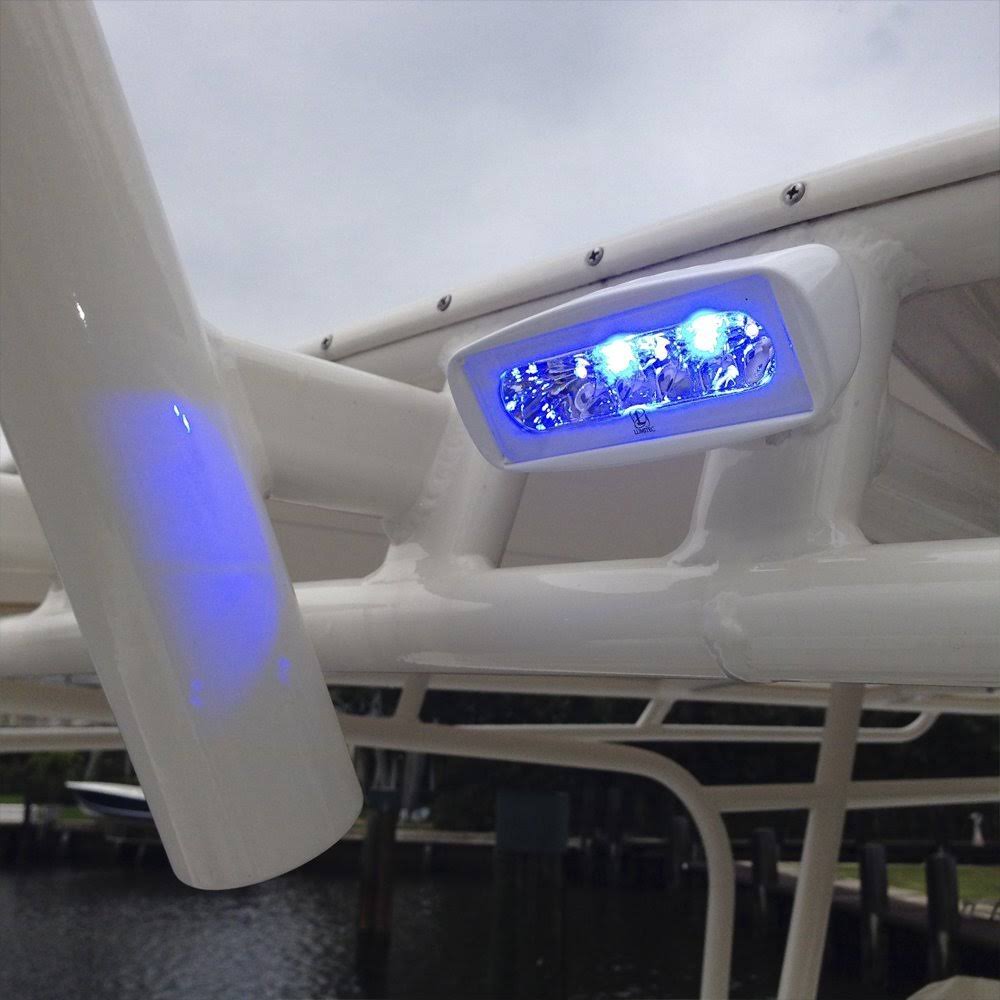 White/Blue LED Flood Light K256956