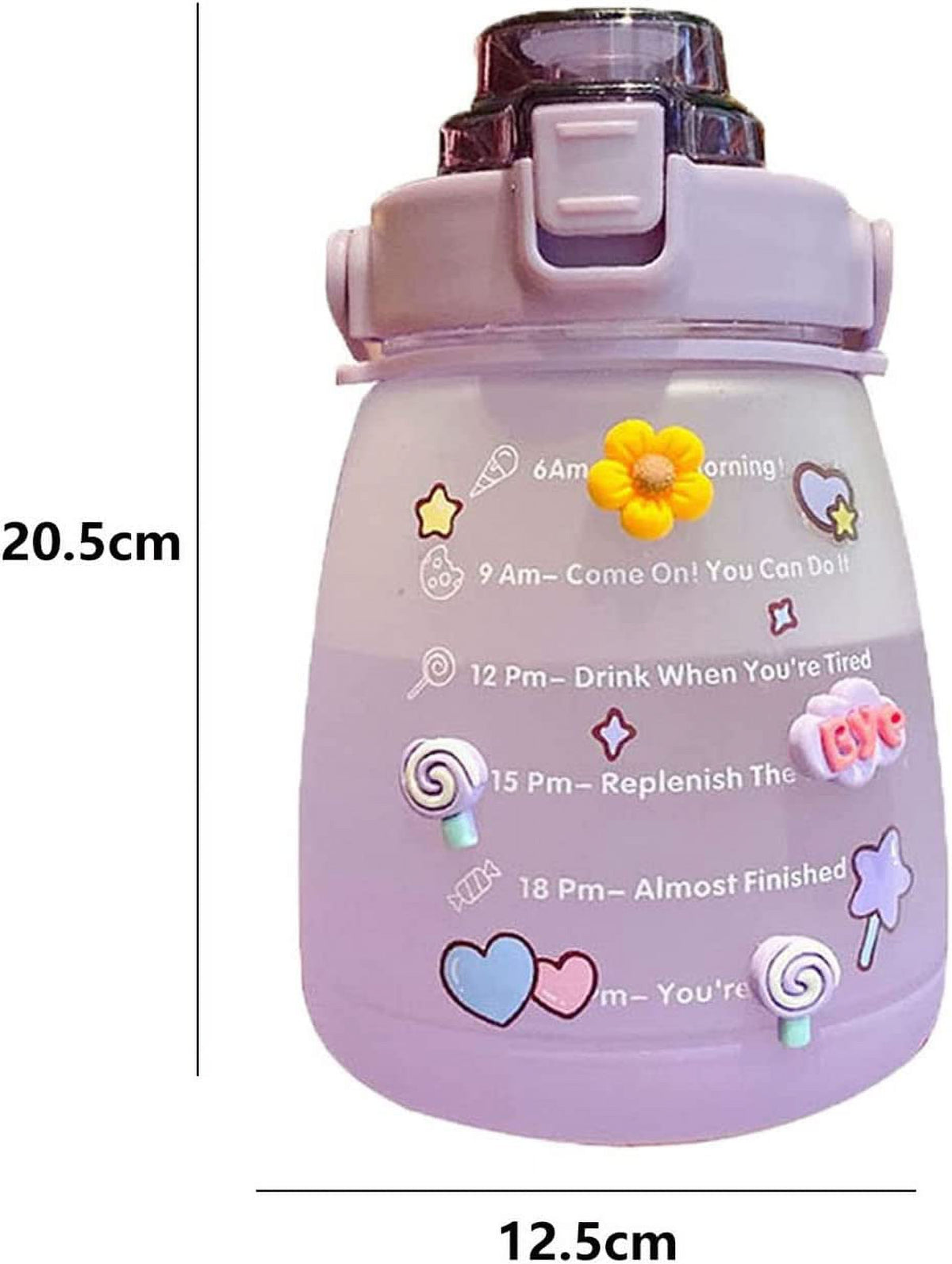 Purple Big Belly Water Bottle with Straw O808