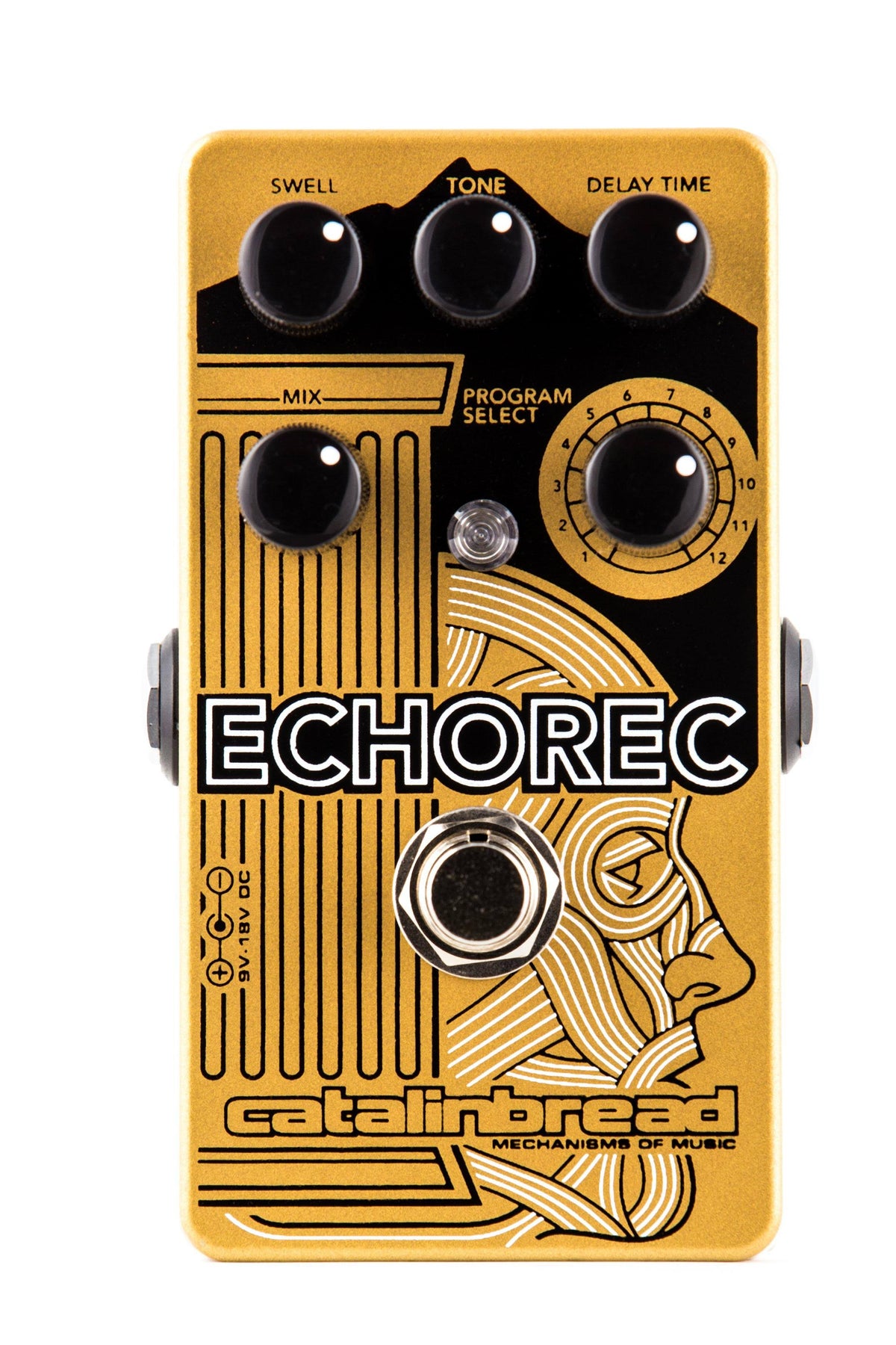 Multi Tap Echo Pedal F671663