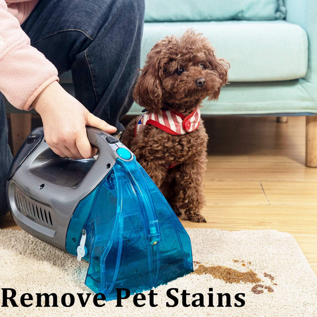 Pet Stain Eraser Carpet Cleaner Pack of 2 J3571