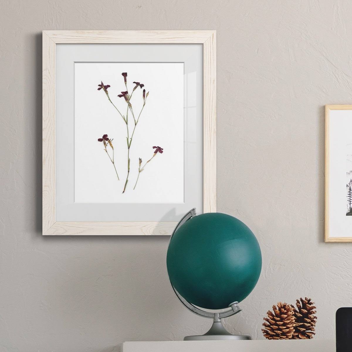 Framed Print - 27.5X37.5 - Walnut T653829