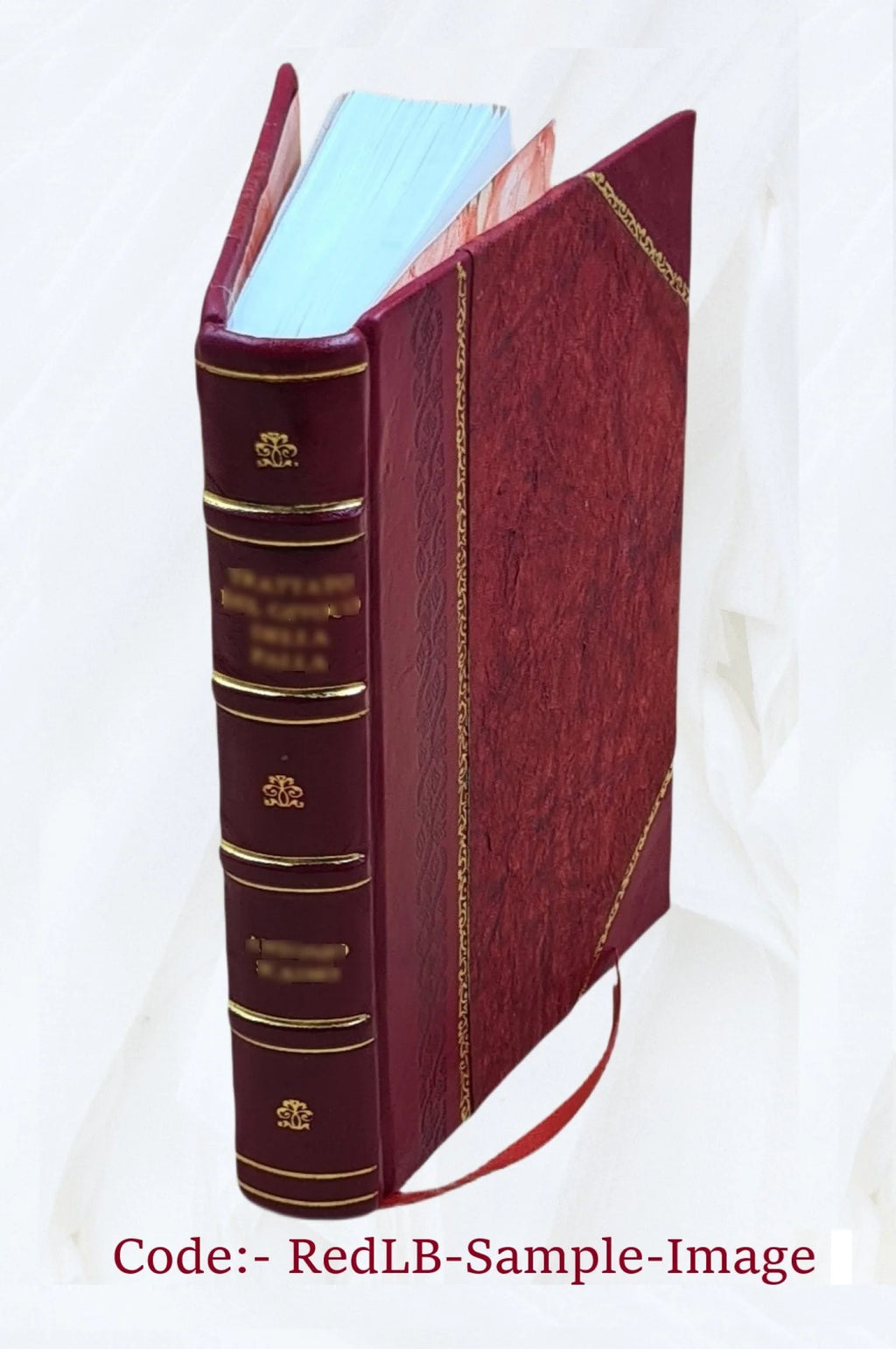 Germany, the next republic? By Carl W. Ackerman. 1917 [Leather Bound] M181