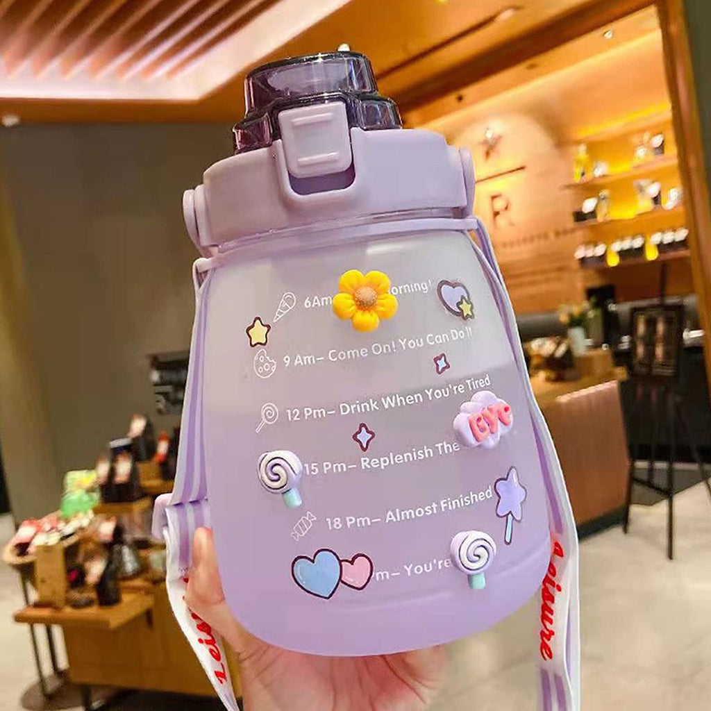 Purple Big Belly Water Bottle with Straw O808